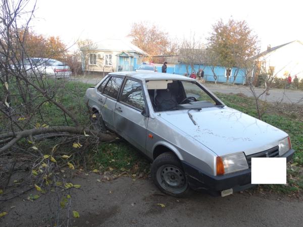 На Ставрополье пьяный водитель ВАЗа врезался в дерево и травмировал пешехода